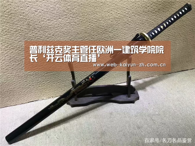 普利兹克奖主管任欧洲一建筑学院院长‘开云体育直播’(图1) KAIYUN官网