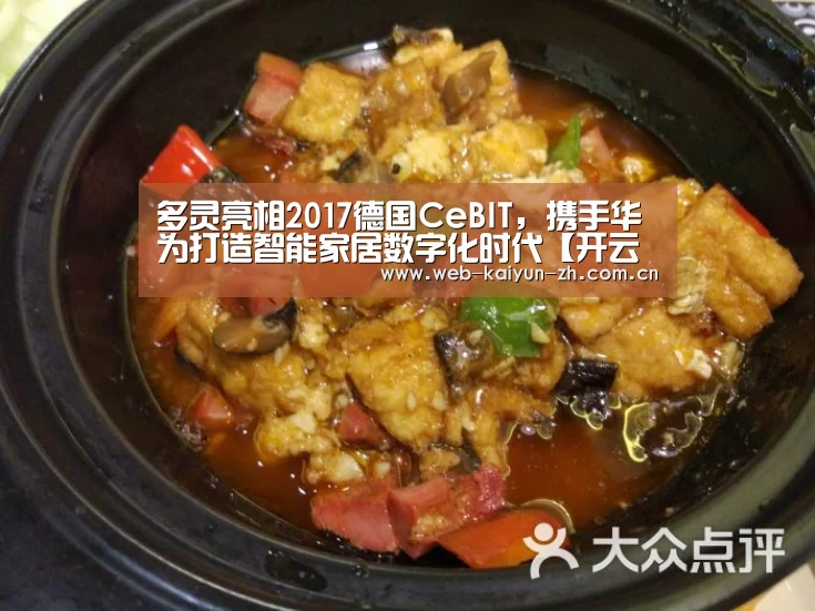 多灵亮相2017德国CeBIT,携手华为打造智能家居数字化时代【开云体育直播】(图3) 开云体育直播