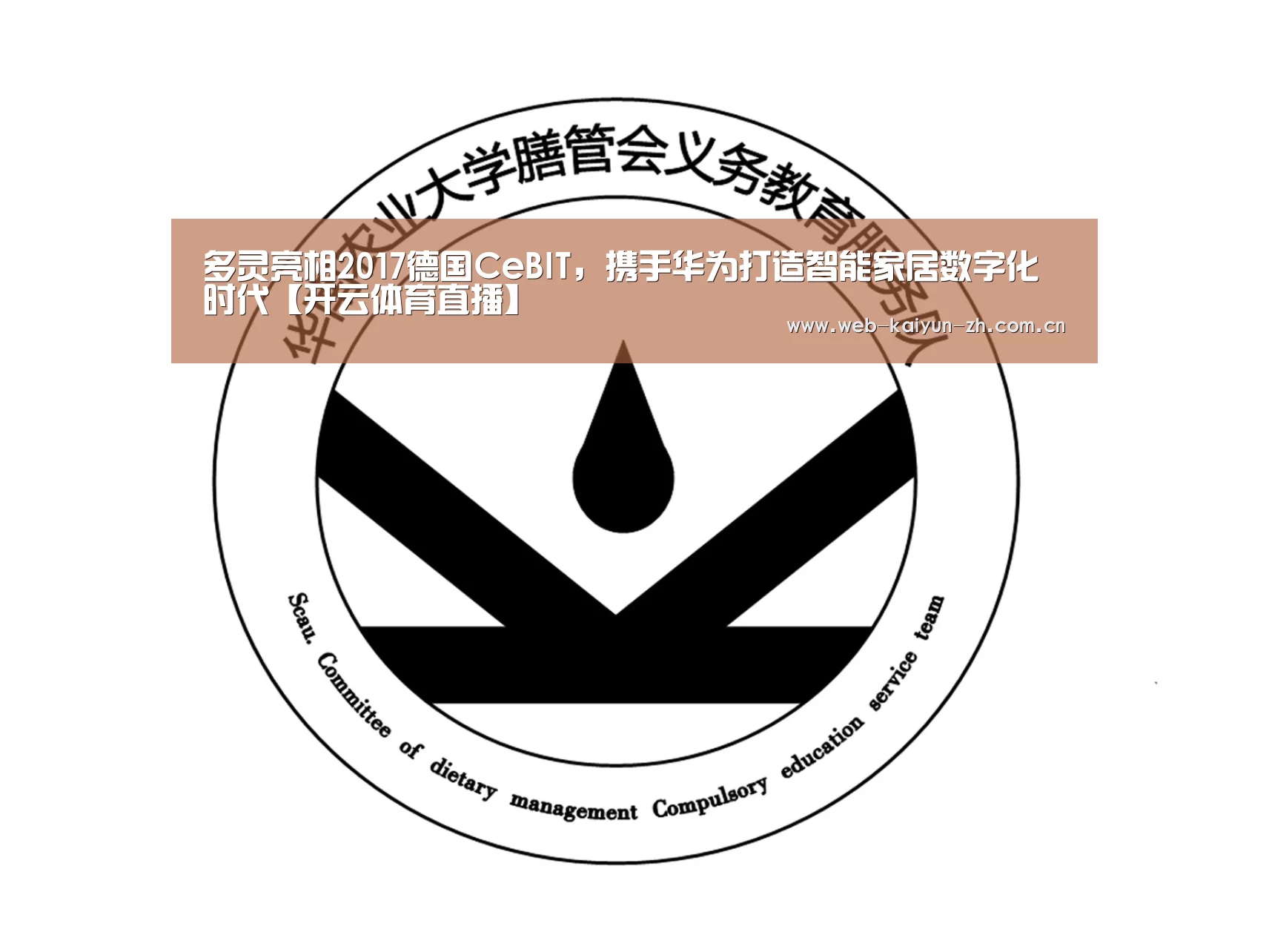 多灵亮相2017德国CeBIT,携手华为打造智能家居数字化时代【开云体育直播】(图2) 开云体育直播