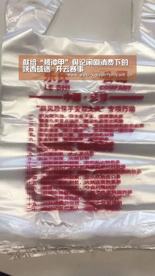 献给“被冲甲”舆论闹剧消费下的陕西球迷-开云赛事(图1) 开云体育直播