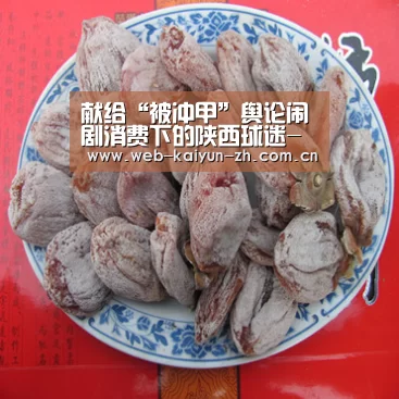 献给“被冲甲”舆论闹剧消费下的陕西球迷-开云赛事(图2) 开云赛事