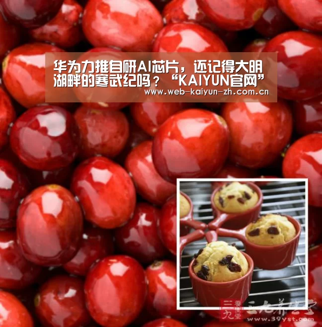 华为力推自研AI芯片,还记得大明湖畔的寒武纪吗?“KAIYUN官网”(图2) 开云体育直播
