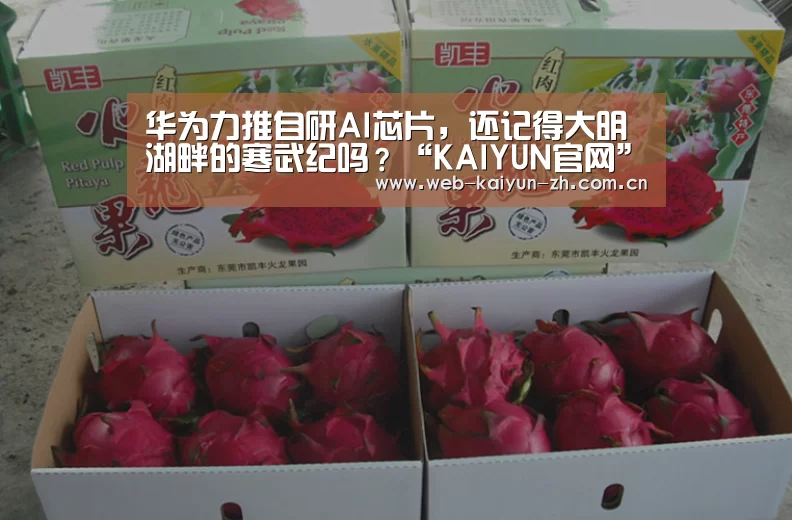 华为力推自研AI芯片,还记得大明湖畔的寒武纪吗?“KAIYUN官网”(图1) 开云体育直播
