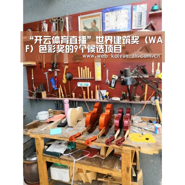 “开云体育直播”世界建筑奖(WAF)色彩奖的9个候选项目(图4) KAIYUN官网