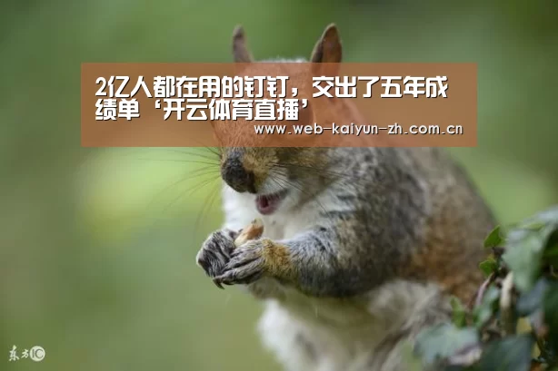 2亿人都在用的钉钉,交出了五年成绩单‘开云体育直播’(图3) 开云体育直播
