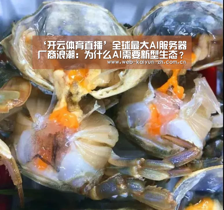 ‘开云体育直播’全球最大AI服务器厂商浪潮:为什么AI需要新型生态?(图3) 开云体育直播