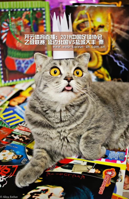 开云体育直播:2019中国足球协会乙级联赛 延边北国VS盐城大丰 票务通告(图1) KAIYUN官网