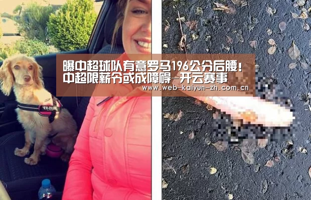 曝中超球队有意罗马196公分后腰!中超限薪令或成障碍-开云赛事(图3) 开云体育直播