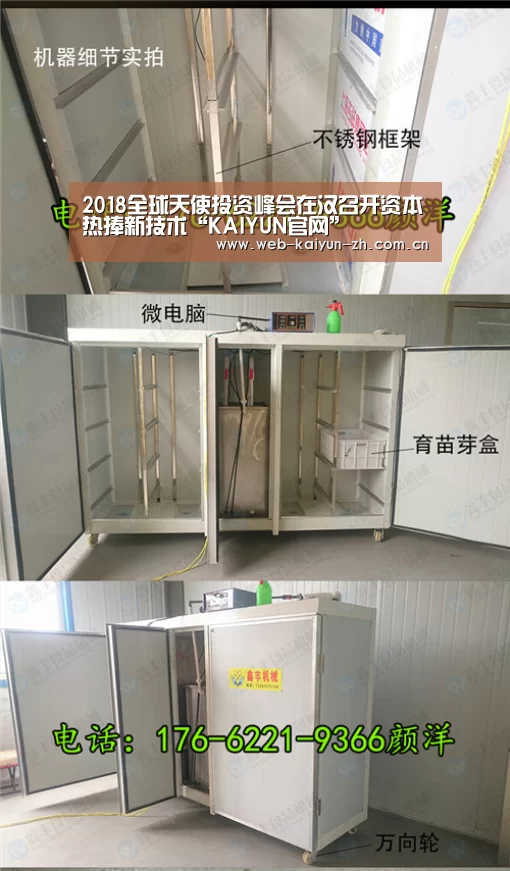 开云赛事