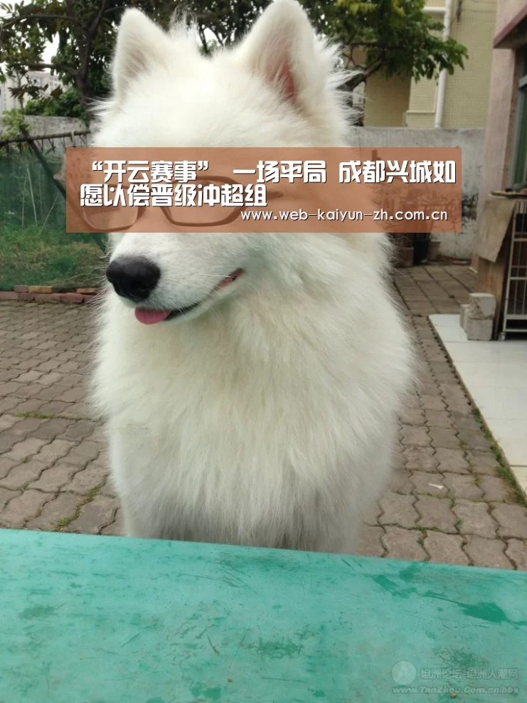 “开云赛事”
一场平局 成都兴城如愿以偿晋级冲超组(图1) 开云赛事