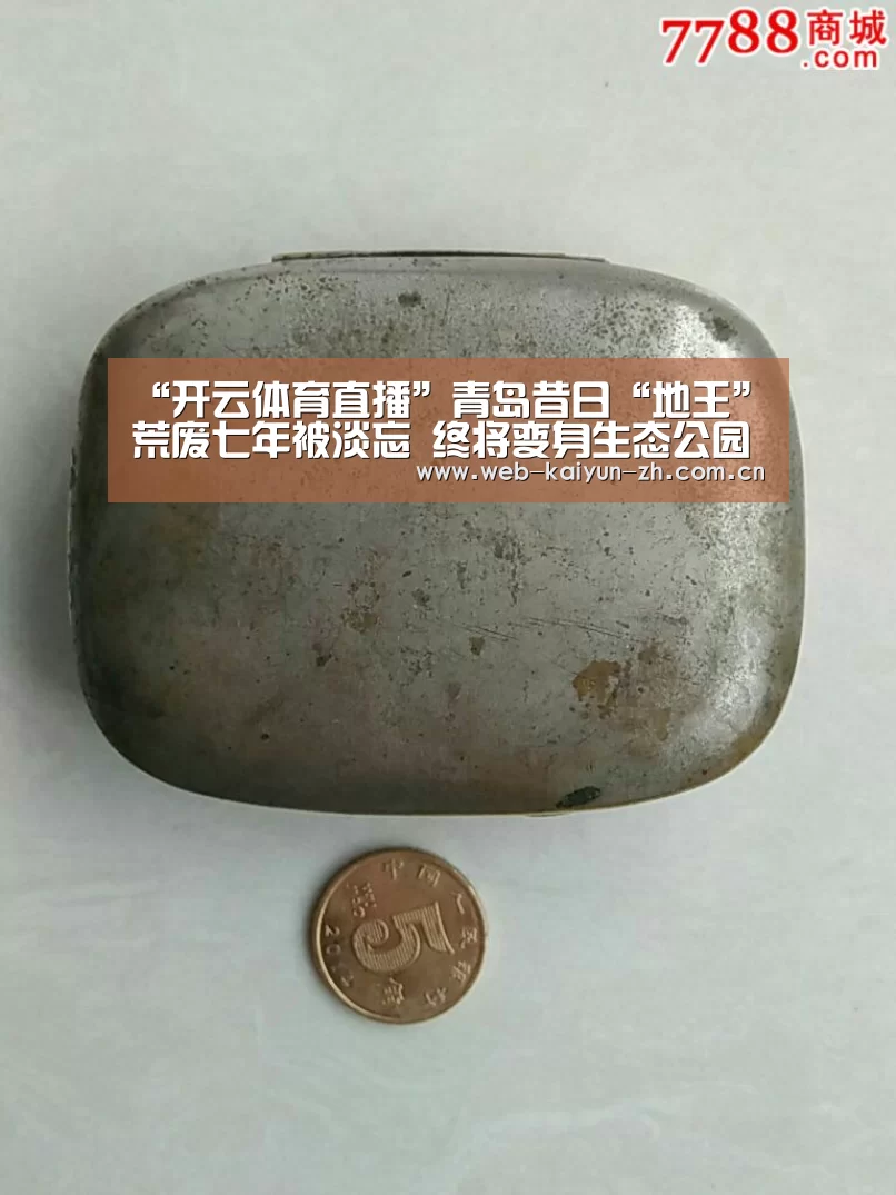 “开云体育直播”青岛昔日“地王”荒废七年被淡忘 终将变身生态公园(图1) 开云体育直播